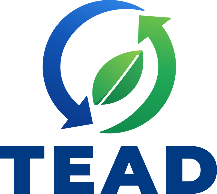 TEAD
